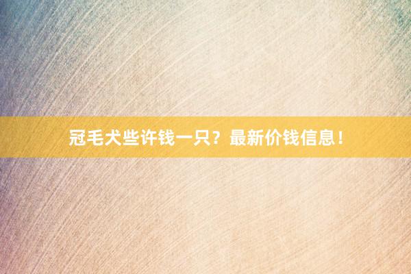 冠毛犬些许钱一只?最新价钱信息!