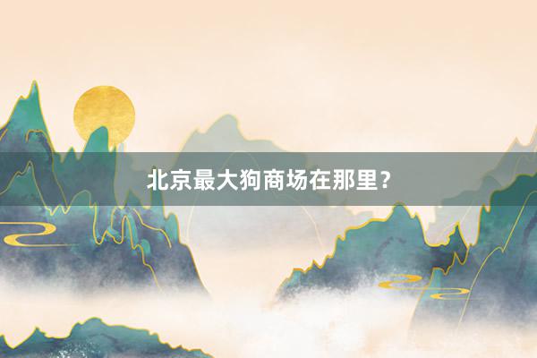 北京最大狗商场在那里？